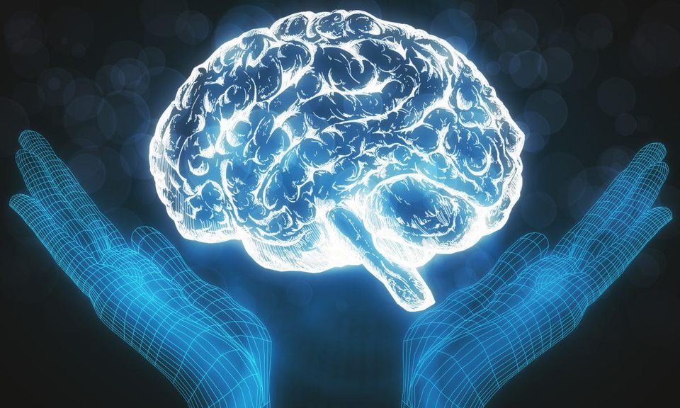 What is So Important About Brain Health?